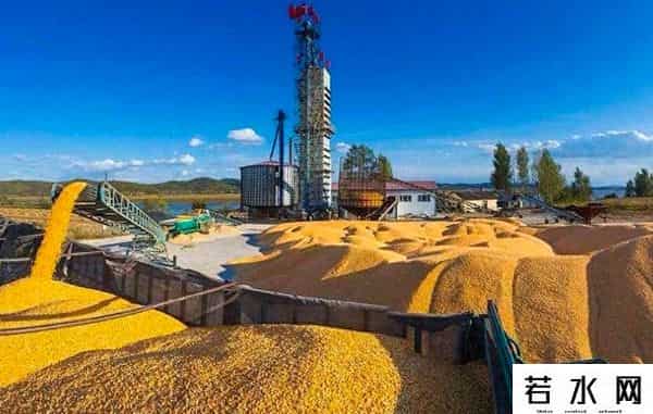 趁美国大豆卖不出去，阿根廷取消出口税，向中国卖出10船大豆