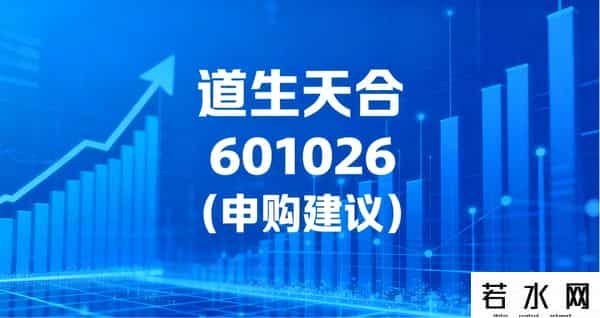 250929｜AI 算力——道生天合（601026.SH）新股申购分析与建议