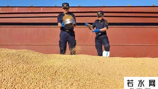 趁美国大豆卖不出去，阿根廷取消出口税，向中国卖出10船大豆
