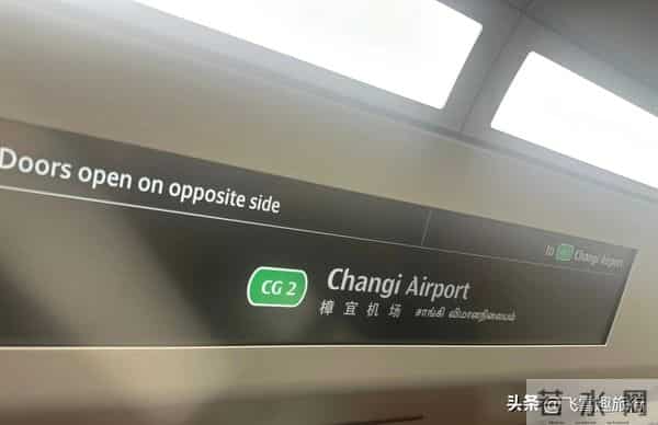 印度自助游:新加坡自由行必备,一文解锁签证,景点,吃住玩超详细攻略