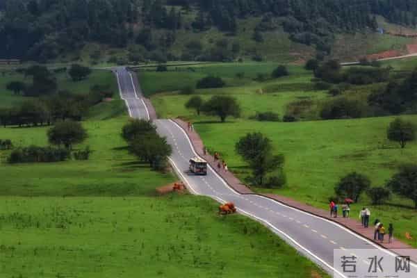 白帝城门票:免门票!半价!重庆各大景区等你来耍