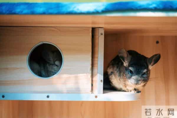 西双版纳住宿攻略推荐