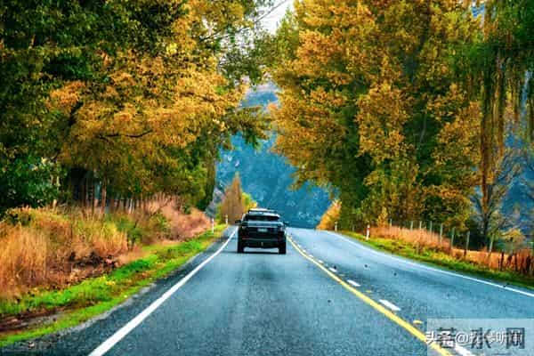 宋亚轩中考成绩多少分