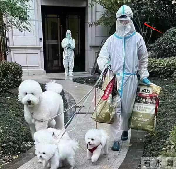 李佳琦直播间怎么停播了