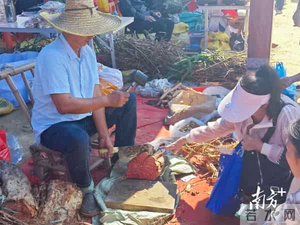 洋版李宗瑞:南方深读丨解析阳春重阳古墟“破圈”之路