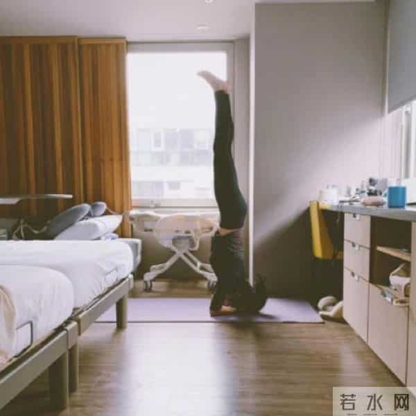 朱珠挺孕肚走红毯