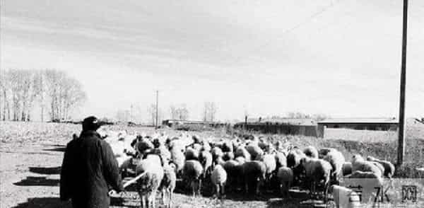 北京双胞胎虐杀案