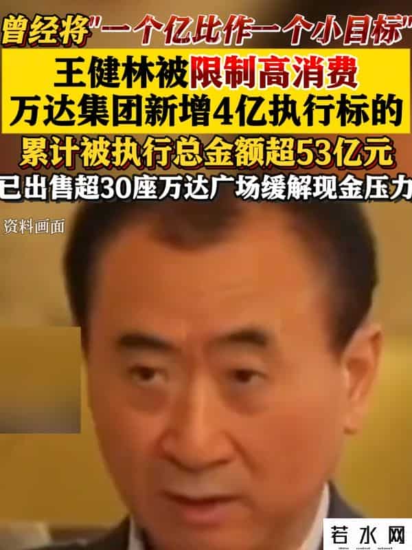 王思聪没想到，71岁父亲王健林上黑名单，他却在日本潇洒挥霍