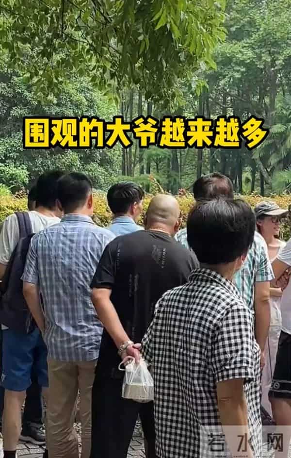 吴雅婷被6岁小孩暴击