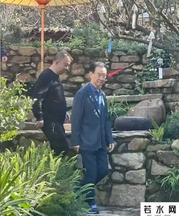 王健林被限制高消费！万达被强制执行4亿，王思聪在外泡妞赌博