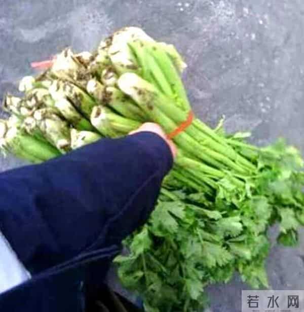 年终奖发重庆小面