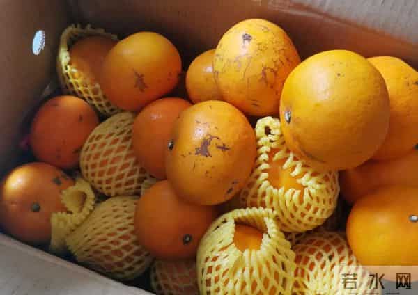 沃柑泡药：沃柑“泡药”后直接上市，果农自己不吃的背后，谁受益？谁买单？