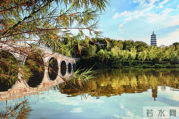 重庆园博园门票价格
