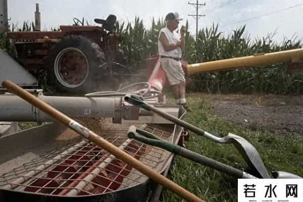白宫措手不及，美农愤怒抗议：中国不买，罪魁祸首是特朗普关税