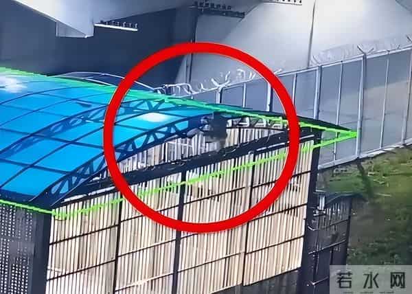 朱贤健：罪犯朱贤健：在中国越狱的朝鲜特种兵，六米高墙纵身跳下毫发未伤