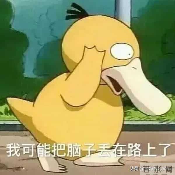 儿童照相团购