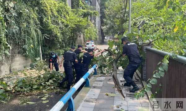 重庆上清寺:百年上清寺,映照重庆魂