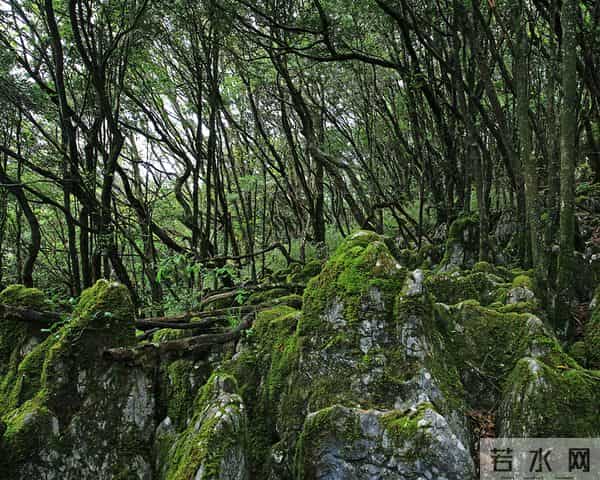 重庆到金佛山路线