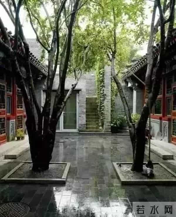 杨丽萍住所曝光