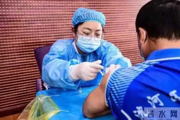 甲流疫苗多少钱一针