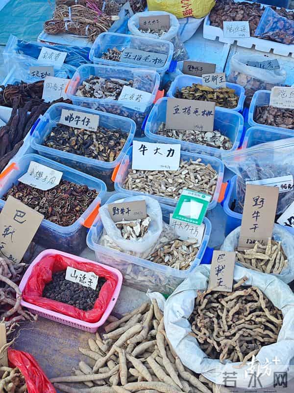 洋版李宗瑞:南方深读丨解析阳春重阳古墟“破圈”之路