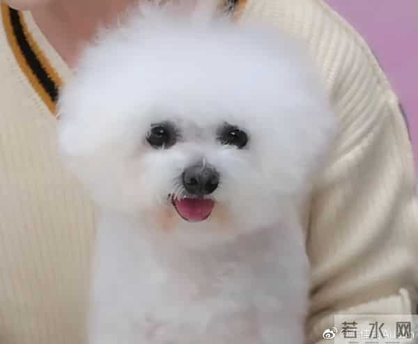 李佳琦直播间怎么停播了