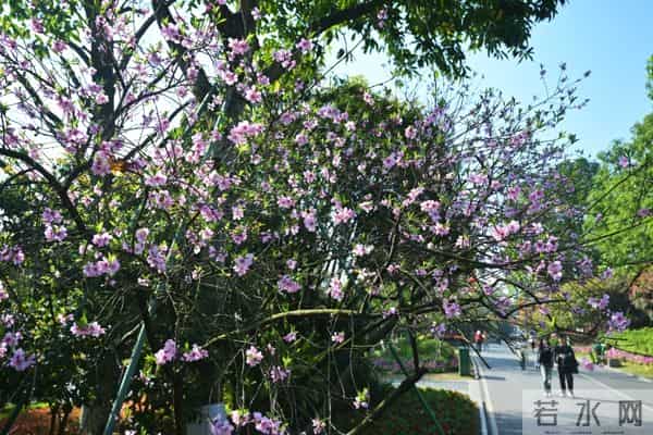 鸿恩寺儿童公园