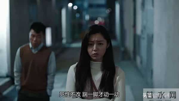 2020最火电视剧排行榜前十名