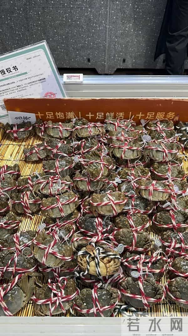 手机壳团购：型号蟹卡“标价”高背后：1—4折可入手，有品牌蟹卡被“黄牛”拒收 - 大闸蟹市场调查·蟹卡乱局②