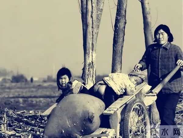 夫妇身亡留下的8孩有很多人想领养