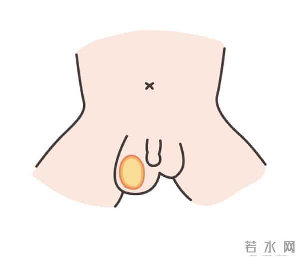 小JJ：男宝私处说明书：包皮、蛋蛋、小 JJ，这些问题必须得知道