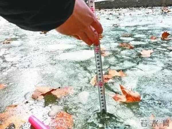 冷的噻:冷得噻!武汉多处湖泊结了冰!市民:能踩着玩吗?丨最武汉