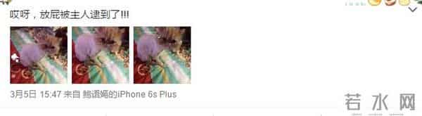 鲍语嫣：千面套娃鲍语嫣，每一层都给你一个惊喜！