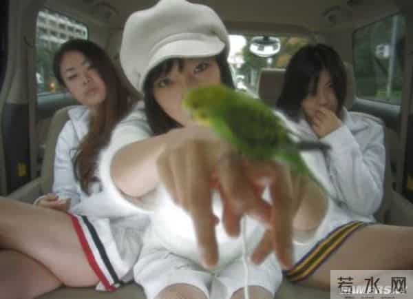 泽尻绘里香电影