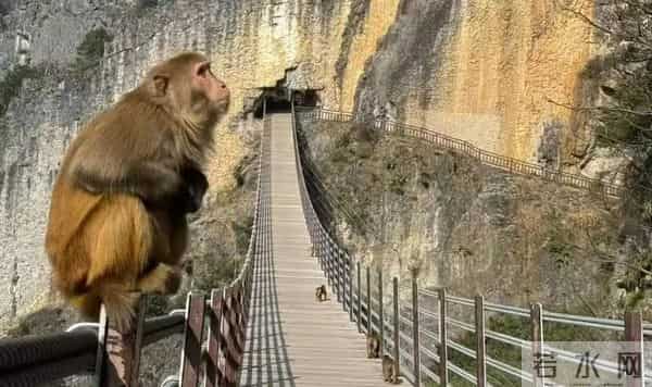 重庆打折网：周末圈 - 免费+半价！重庆妹儿快来“捡趴活”~