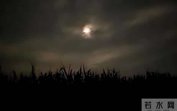 朱贤健：罪犯朱贤健：在中国越狱的朝鲜特种兵，六米高墙纵身跳下毫发未伤