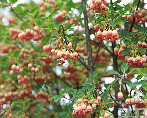 重庆到金佛山路线