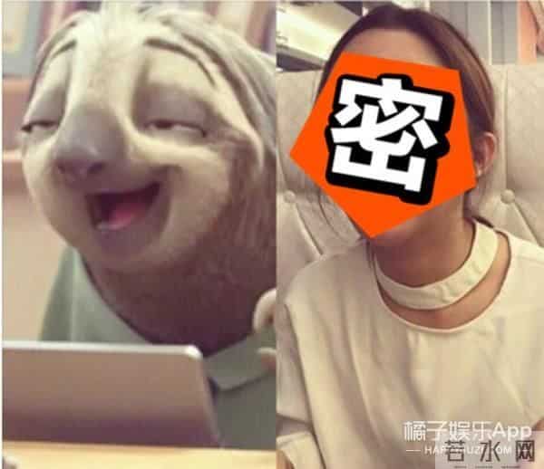 柴智屏女儿：柴智屏女儿模仿树懒，终于找到比王思聪更像的了