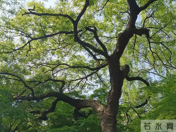 我还是觉得幸福更多