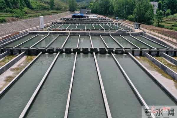 双鹰河吧:重庆丰都:冷水鱼成“热产业”