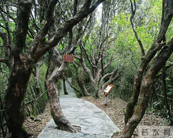 重庆到金佛山路线