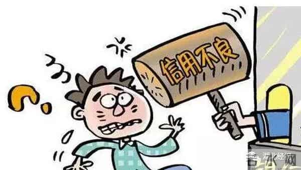 冷的噻:冷得噻!武汉多处湖泊结了冰!市民:能踩着玩吗?丨最武汉