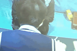 李宗瑞的继母是谁