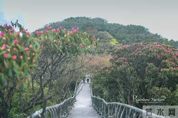 重庆金佛山自驾旅游