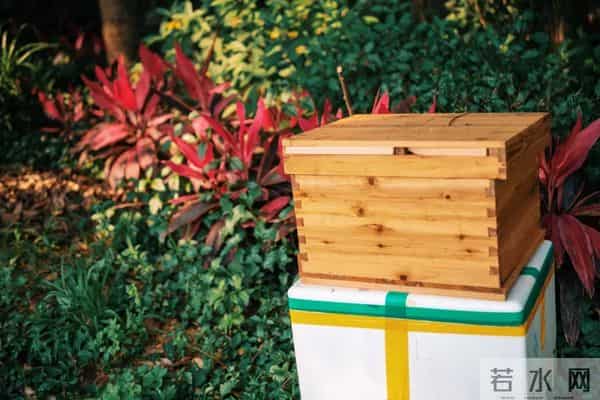 西双版纳住宿攻略推荐