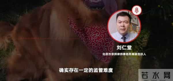 siri金毛托运事件