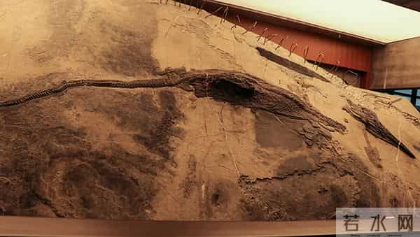 黔西南景点:探访阳光黔西南|收藏这份四天三晚打卡全攻略 助你五一玩转黔西南