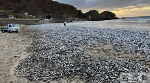日本护肤品辐射名单