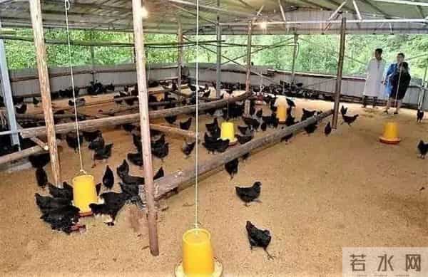 挪个地方要得不