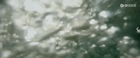 王宝强开什么车